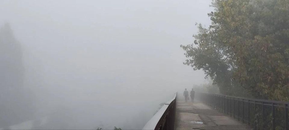 �������� ������� ��������� �� ������