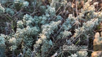 �������������: ����� � ����� 15 ������ ��������� ���������