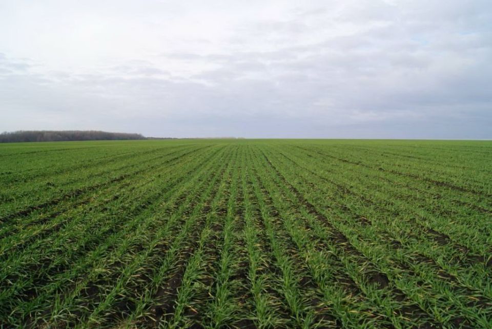 ������, � ����� �� ����������, � ������������������ ��������� � ����������