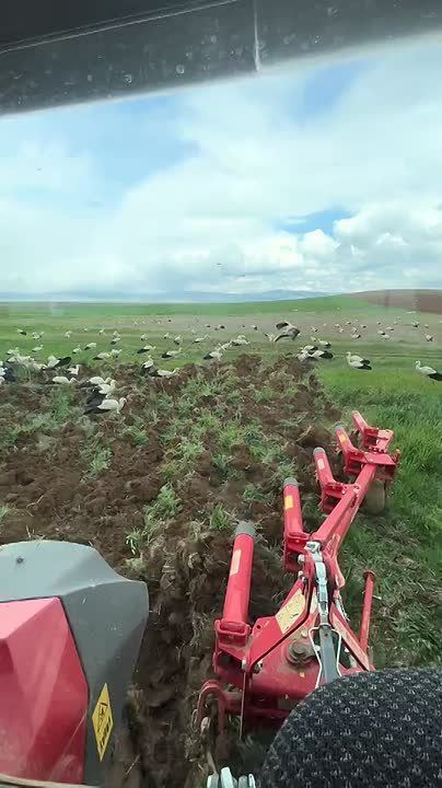 � ���� ������������ �����, ��� ����� �������� ����� � ������� �� ����� ������� �������