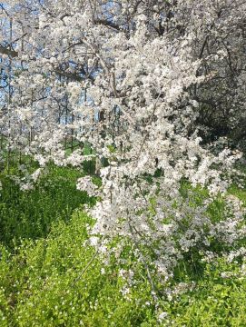 Краски весны и апрельское тепло