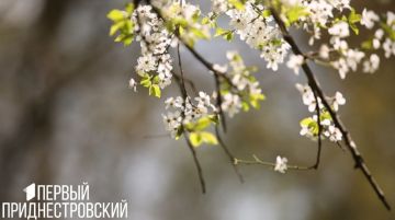 ����� ��������, � ������������� ������ �����