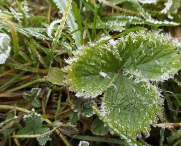 ��������� ��������������. ����� � ����� 15 ������ �� ���������� ��������� ��������� �� ����������� ����� �� -4��, � ������� ������� �� -1��