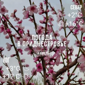 Днём – до +17°С, без осадков