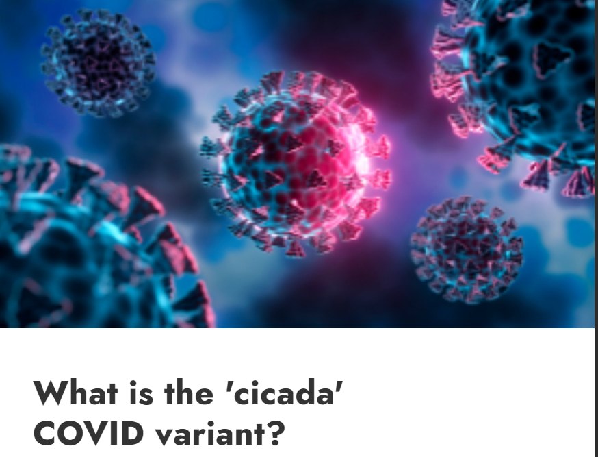Новый штамм COVID-19 «цикада» выявили в 23 странах, — исследование Университета Цинциннати