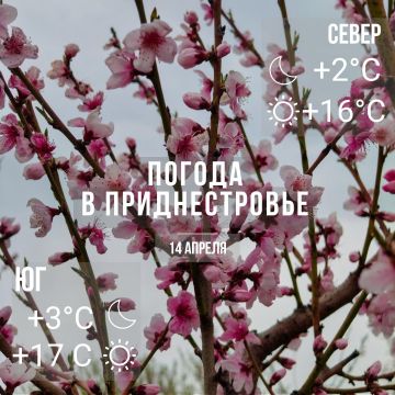 Днём – до +17°С, без осадков