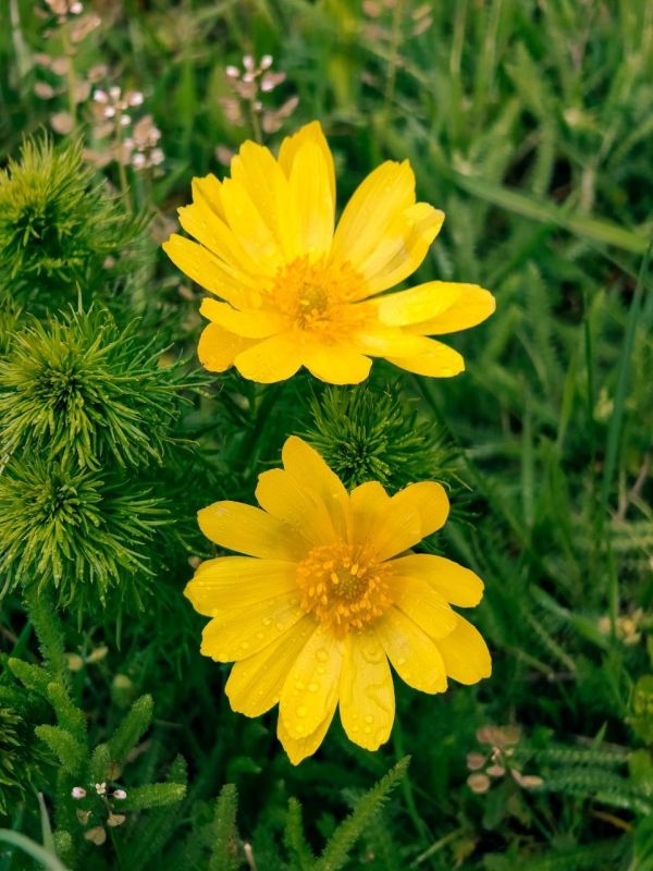 ������ ����� � ��������� ���������