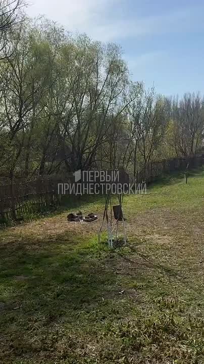 Вот такую зону отдыха обустроили жители Коротного (Слободзейский район) при въезде в село (напротив рыбхоза)