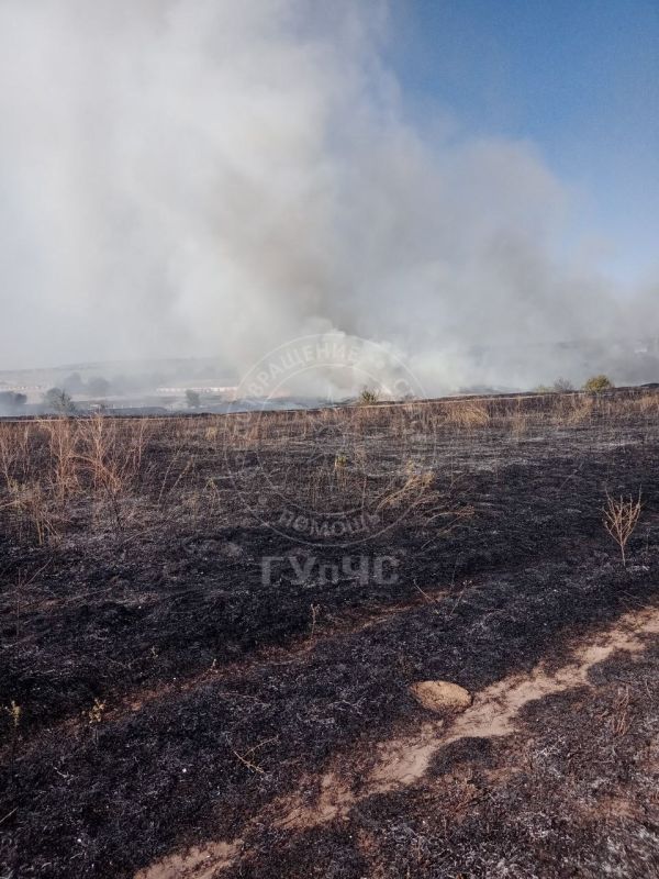 � ������ �������� 20 �������� ����� �����