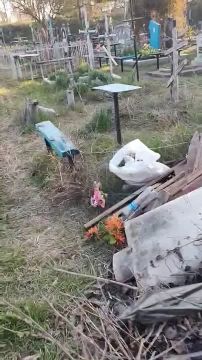На кладбище в Ержово люди навалили мусор прямо на могилы