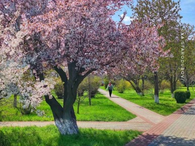 ��������� � �������� �����: �������� ������� � ����������� ������� �������