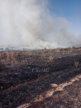 � ������ �������� 20 �������� ����� �����