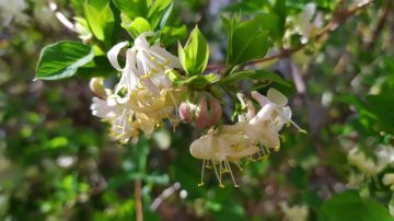 Прогноз погоды на сегодня, 15 апреля