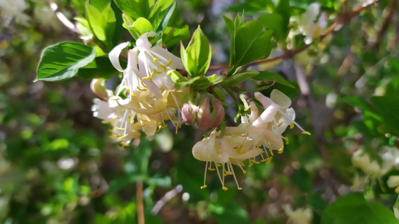 Прогноз погоды на сегодня, 15 апреля