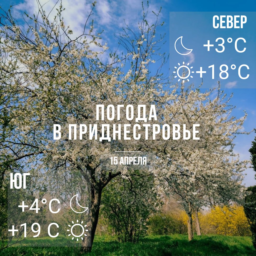 Днём – до +19°С, без осадков