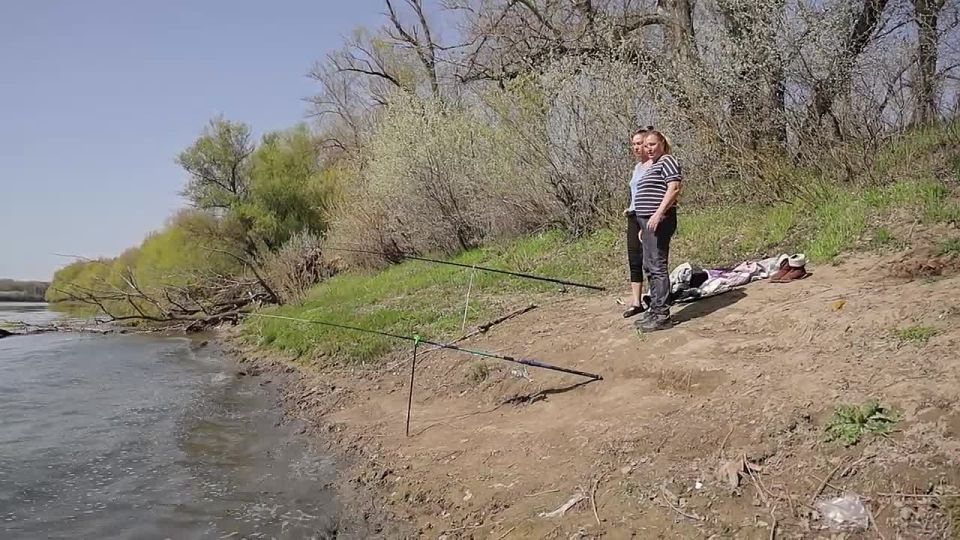 ���� ��������� ������ � ������������ ����������� ������� ���������� ����������� ����������� �������