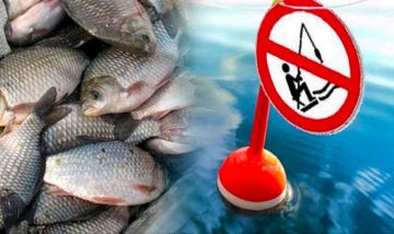 � ������������ ��� � ������������� ������ ���������� ������: ������ ���� ������ ����� ��� ������, �� 15 ����