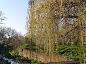 17 апреля ожидается облачная с прояснениями погода, утром и днем местами кратковременный дождь