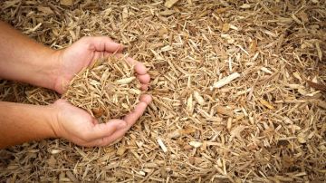 � 18 ������ 2026 �. �������� ������� ������ � ��������� ������� � ������������ � �����������, ���������� � ������������� ������������� ��� "� ������� ������ ��������� ��������"