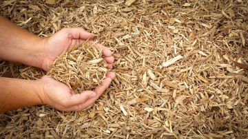 � 18 ������ � ������������� �������� ������� ������ � ��������� �������