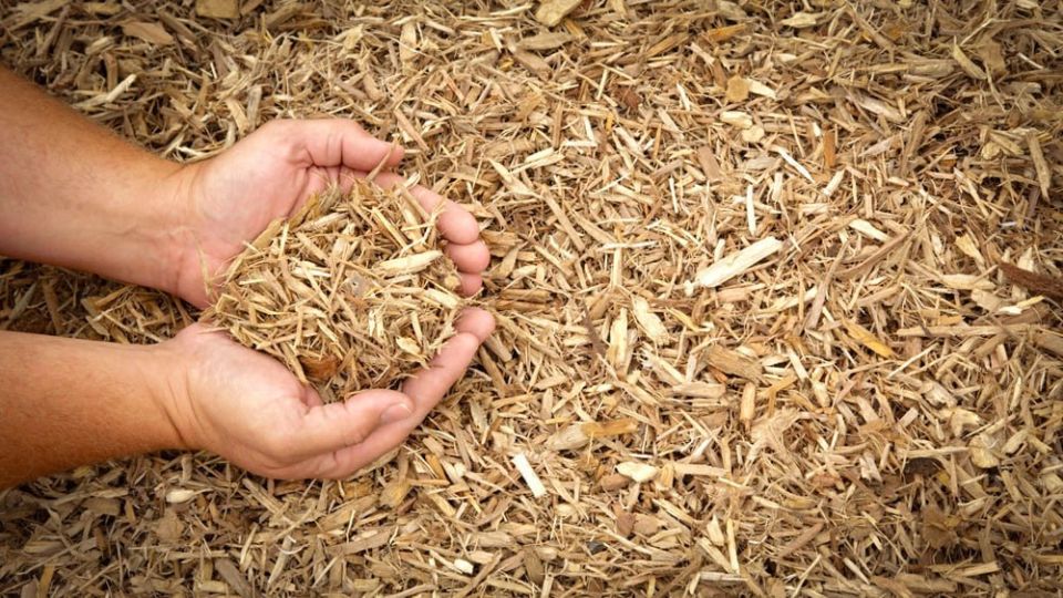 � 18 ������ 2026 �. �������� ������� ������ � ��������� ������� � ������������ � �����������, ���������� � ������������� ������������� ��� "� ������� ������ ��������� ��������"