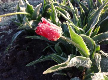 ��������� �������� � ��� � �������� ��������� ������