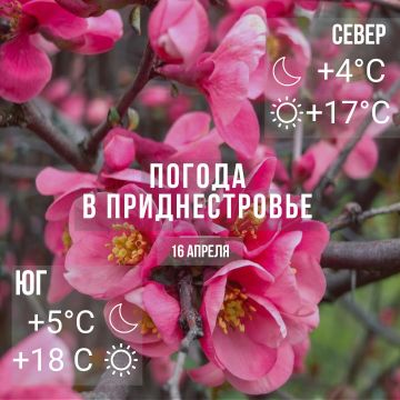 Днём – до +18°С, местами дожди