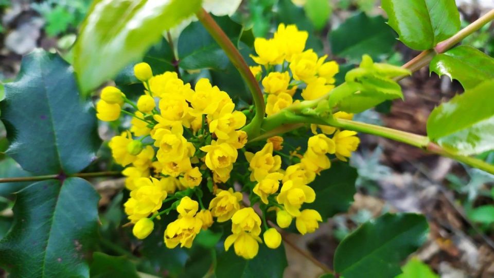 �� ��������� ������ � ������������� ��������� � ����� ����� ������