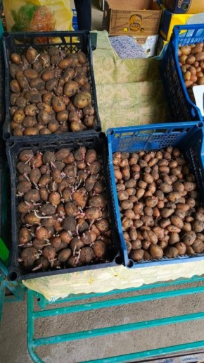 �������� �� ������� ������� �� 8-10 ������ �� ����, ��� � ���������� �������� � ������� ����