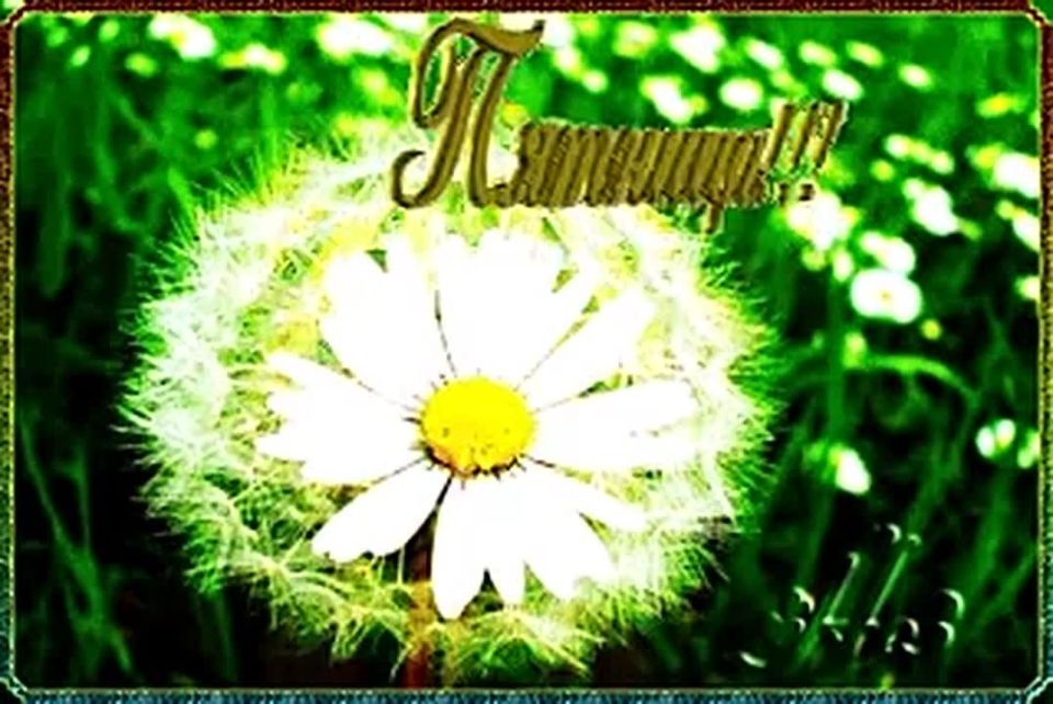 17 ������ � �������, � ������� ����������� ��