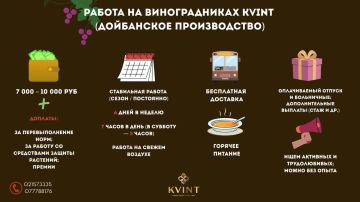 KVINT ����� ������� ������ �������� ����������� ��� ������ �� �������������