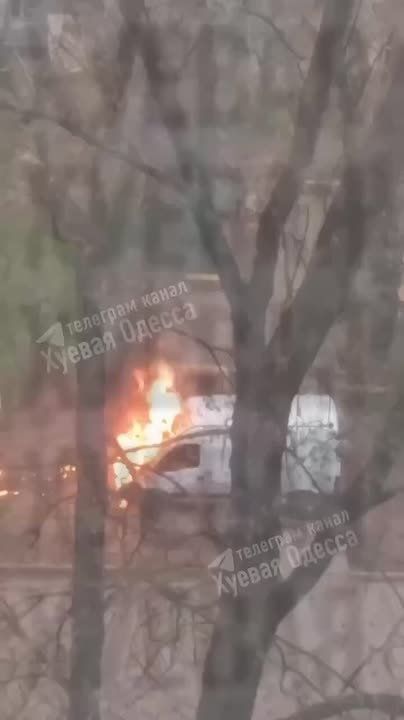 � ������ �������� ������������ ������������� ���