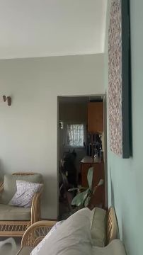 �������� ������-������� ���� ������� ��������