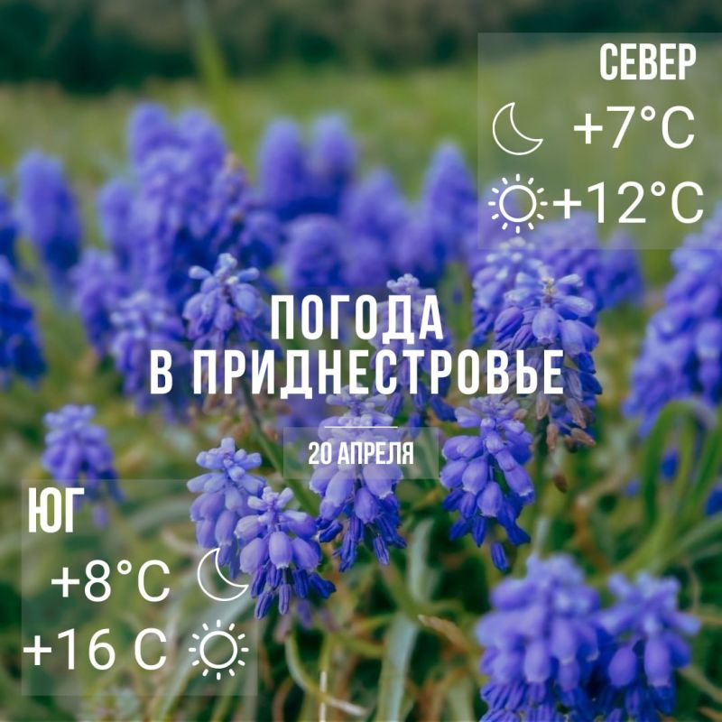 ���� � �� +16��. ��������������� �����, ������� �������