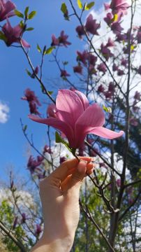 ��� � ��������� �������� ��������