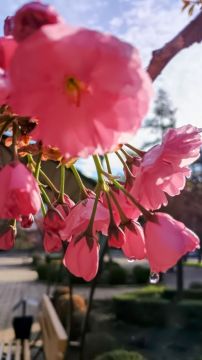 �������� ������ � ����������