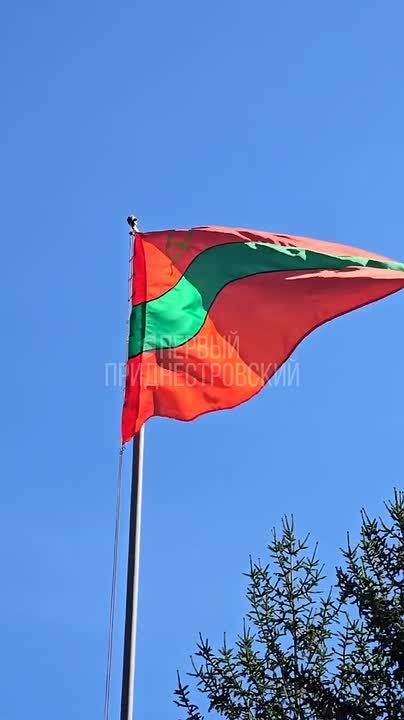 � ���� ������ ���������� ������ ���������� ������ �������, ����� ���������� ����� Ը���� �����������