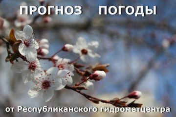 ������� ����!. ������� ������ �� �������, 21 ������