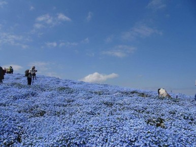 � ������ ������� ����� �������� ������� �������� � � ��� ����������� �������� � ����������������� �������