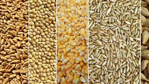 � ����� ������� ����? ������? ������?�