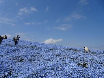 � ������ ������� ����� �������� ������� �������� � � ��� ����������� �������� � ����������������� �������