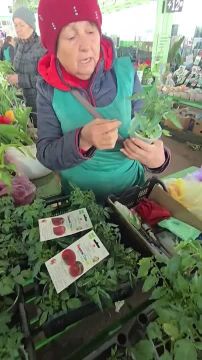 �� ������ ����� ��� ������� �������, � �������� ��� ������