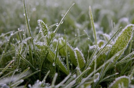 23 ������ ����� � ����� ����� ��������� ���������: �� ����� �� -4��, � ������� �� -2��