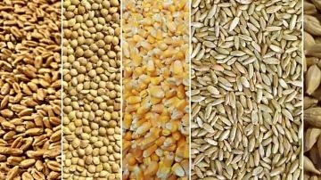 � ����� ������� ����? ������? ������?�