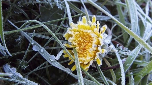 ��������� ��������������. 23 ������ � ������ � �������� ���� ��������� ��������� �� ����� �� -4��, � ������� ������� ��� ����������� �� -2��