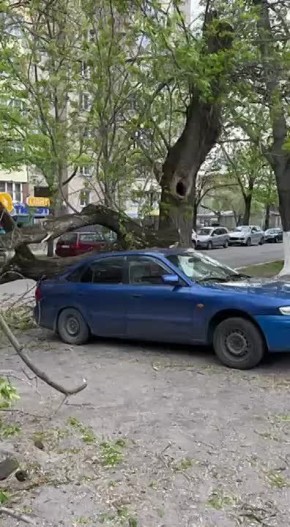 ���� ����� ������������ �� ������