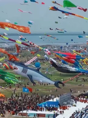 � ����� �������� ��������� ��������� �����