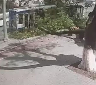 ������ ������� ������ ����� �� ������