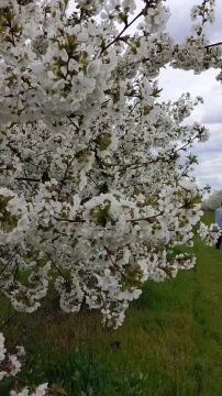 ���� ����� ������ ������������ � ������� ��������