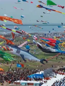 � ����� �������� ��������� ��������� �����